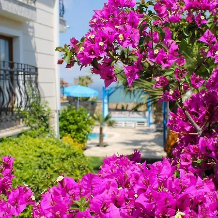 Ayvalik Cunda Paradise Hotel